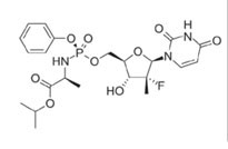 Sofosbuvir NS5B-Inhibitor Nukleotidischer Polymerasehemmer 400 mg 1x1 Tablette täglich  Aktivität gegen Genotypen 1-6 Hohe Resistenzbarriere  Keine relevanten Interaktionen