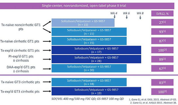 Abbildung 8:   SOF/VEL/GS-9857 4-8 Wochen bei G1 und G3