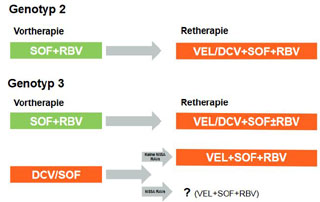 Abbildung 3. Empfohlene Re-Therapieoptionen nach vorangegangenem DAA-Therapieversagen bei den HCV Genotypen 2 und 3. Die Hinzunahme von Ribavirin und die Therapiedauer richten sich nach der Vortherapie, dem HCV-Subtyp, der Resistenzlage bzw. der jeweiligen Leitlinienempfehlung.