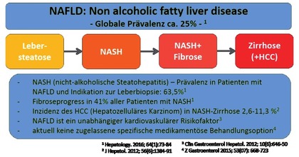 Abb. 1  Epidemiologie und natürlicher Verlauf der nicht-alkoholischen Fettlebererkrankung