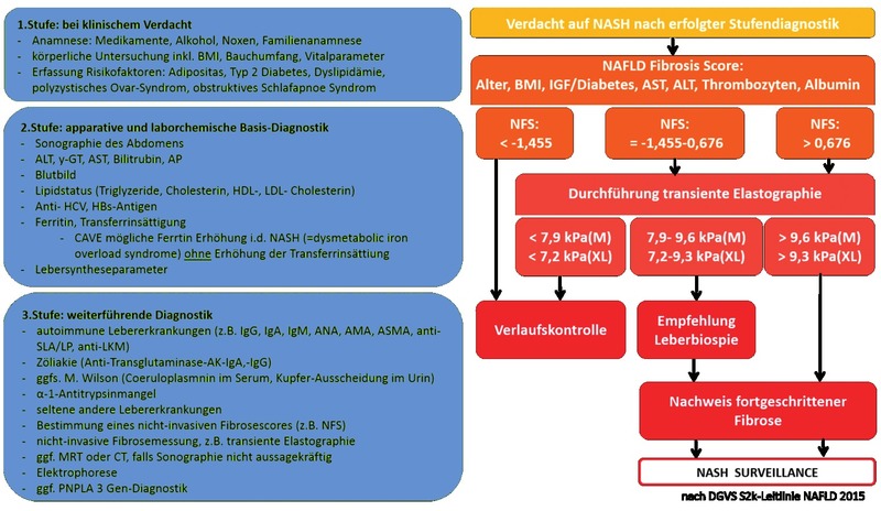 Abb. 2  Diagnostik bei nicht-alkoholischen Fettlebererkrankungen