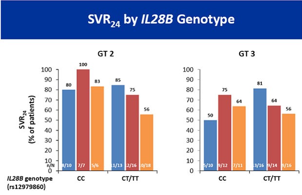 SVR24 by IL28B Genotype
