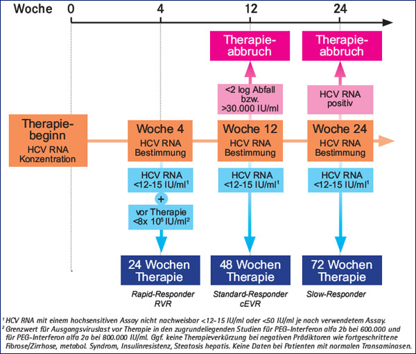 Abb. 3: Therapie Genotyp 1