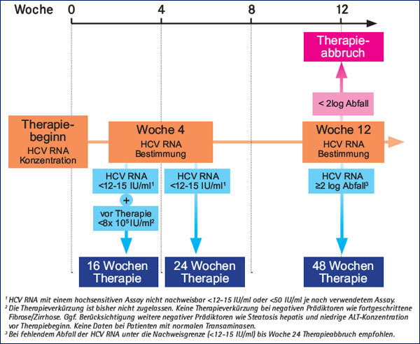 Abb. 4: Therapie Genotyp 2/3