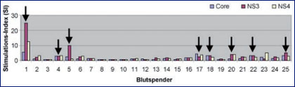 Abb. 1: Im <sup>3</sup>H-Thymidin-Proliferations-Assay gemessene Stimulationsindices nach Inkubation der PBMCs von 25 Blutspendern mit verschiedenen rekombinanten HCV-Antigenen (Core, NS 3 und NS 4). Die Pfeile kennzeichnen ber dem testspezifischen "cut-o