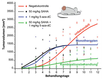 Abb. 2: In der kombinatorischen Behandlung (5-aza-dC plus SAHA)