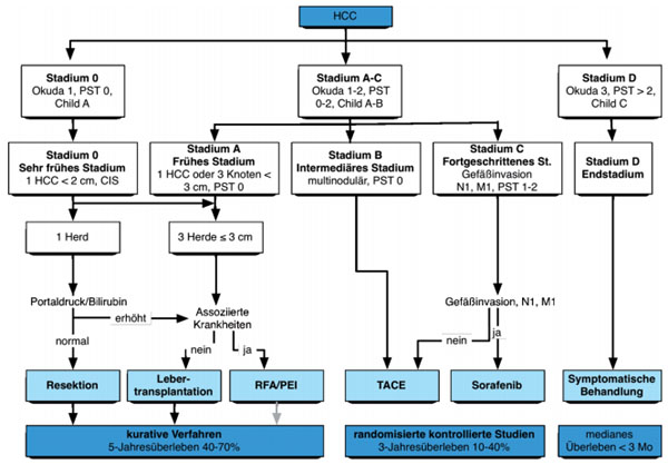 Abb. 1: Der BCLC Score1 