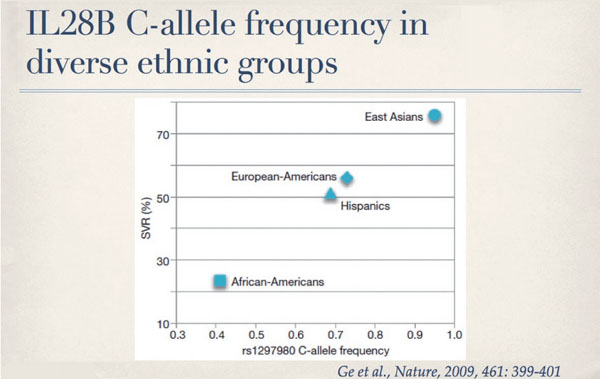 Abb. 3: Die Häufigkeit des für das Therapieansprechen günstigen C-Allels ist bei Asiaten höher als bei Amerikanern Europäischer Abstammung.  African-Americans mit einer tiefen C-Allel-Häufigkeit haben auch eine tiefe Sustained Virological Response (SVR) Rate