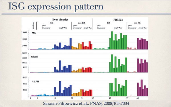 Abb. 5:  Expression von 3 repräsentativen ISGs in der Leber und in Leukozyten von Patienten mit CHC. 4 Kontrollpatienten ohne CHC (Linien 1-4), 10 Patienten mit raschem Therapieansprechen (Rapid Response, RR), sowie 6 Patienten mit fehlendem Ansprechen (nonRR) wurden vor der Therapie (für RR Linien 5-14; für non-RR Linien 25-30) und 4 Stunden nach der ersten Injektion von pegIFN untersucht (für RR Linien 15-24; für non-RR Linien 31-37)