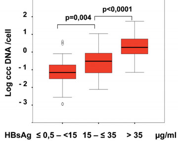 Abb. 4: Korrelation von cccDNA Kopienzahl und HbsAg-Spiegel. Volz et al. Gastroenterology 2007;133:845-52