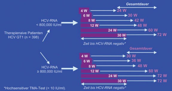 Abb. 1: INDIV-2: Individuelle Therapiedauer je nachdem in welcher Woche HCV-RNA negativ wurde 