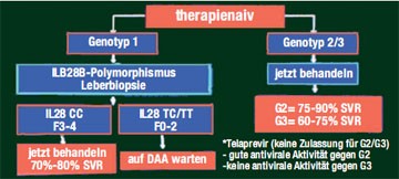  -- Abb. 1: Potenzieller Algorithmus für therapienaive Patienten (nach D. Nelson, AASLD 2010) 