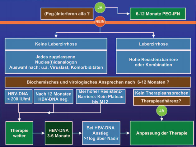 Abb. 2: Therapie 2010/2011