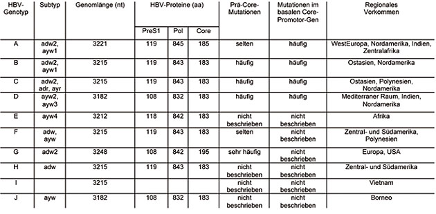 Tab. 1: Weltweites Vorkommen und molekulare Charakteristika der Genotypen von HBV (nach Locarnini 2008).1nt = nucleotide; aa = amino acid