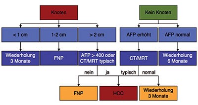 Abb. 2: Diagnostischer Algorithmus