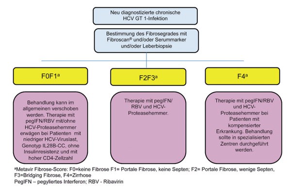 Abbildung 6: Management der neu diagnostizierten HIV/HCV Koinfektion Genotyp 1.
      Nach Ingiliz P, Rockstroh J Liver International 2012, in press