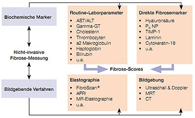 Abbildung 1: Übersicht über nicht-invasive Verfahren zur Fibrosemessung