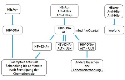 bbildung 2: Vorgehen zur Verhinderung einer Hepatitis B Reaktivierung (Empfehlungen gemäß der deutschen und europäischen Leitlinien zur Behandlung der Hepatitis B)