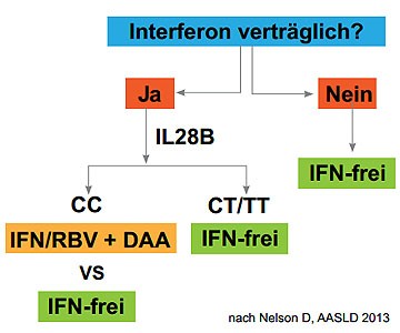 Abbildung 11: Therapie mit oder ohne Interferon?