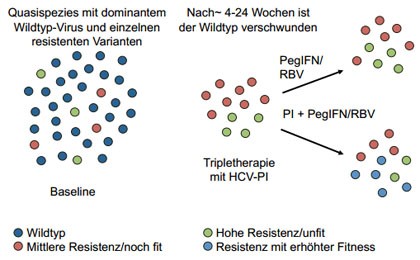 Abbildung 1: Entstehung resistenter Varianten.