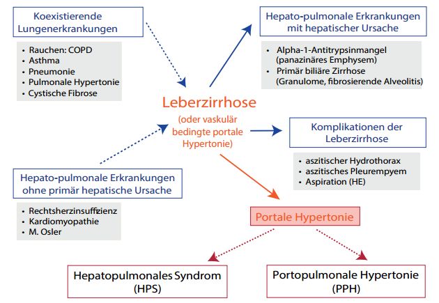 Abbildung 1: Differentialdiagnose pulmonaler Störungen.