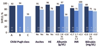 Abb. 2   SVR12-Raten in Abhängigkeit von Child-Pugh-Stadium und verschiedenen labor- chemischen und klinischen Parametern nach einer Therapie mit SOF, DAC und RBV für  12 Wochen (ALLY-1). 18 HE:  hepatische Enzephalopathie