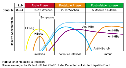 Verlauf einer Hepatitis B-Infektion