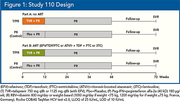 Figure 1: Study 110 Design