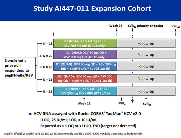 Study AI447-011 Expansion Cohort