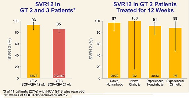 SVR12 in GT2 and 3 Patients / SVR12 in GT 2 Patients treated for 12 weeks