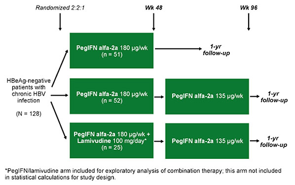 In der dreiarmigen Studie erhielten 128 HBeAg-negative Patienten mit HBV (90% Genotyp D, 10% Zirrhose)
      folgendermaßen behandelt